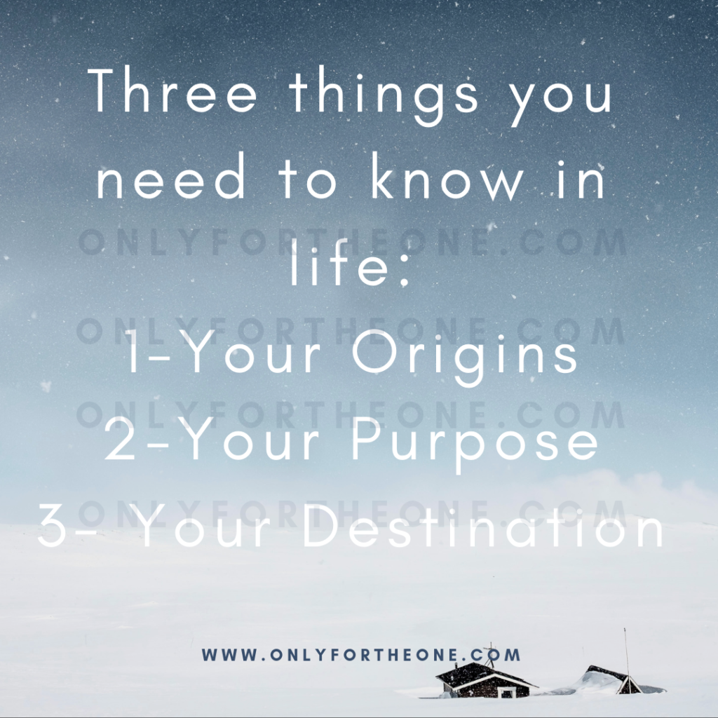 Three things you need to know in life:
1-Your origins
2-Your purpose
3-Your destination

Achieve happiness and success