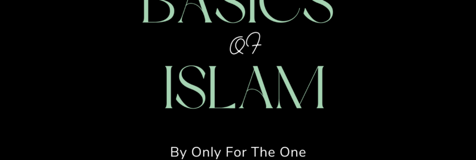 basics of islam e-book onlyfortheone