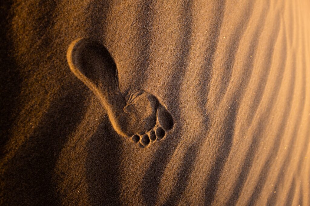 footprint